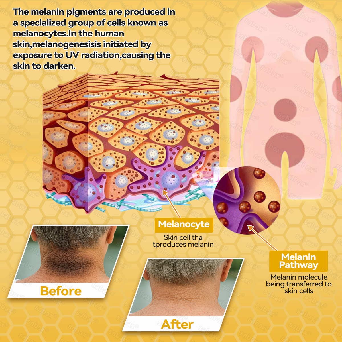 🇺🇸𝑶𝒇𝒇𝒊𝒄𝒊𝒂𝒍 𝑺𝒕𝒐𝒓𝒆|𝑺𝒂𝒃𝒂𝒙® 𝐁𝐞𝐞 𝐕𝐞𝐧𝐨𝐦 & 𝐖𝐡𝐢𝐩𝐩𝐞𝐝 𝐓𝐚𝐥𝐥𝐨𝐰 𝐁𝐚𝐥𝐦 Skin Repair Cream (𝐉𝐮𝐬𝐭 𝐨𝐧𝐜𝐞 𝐚 𝐝𝐚𝐲, 𝐯𝐢𝐬𝐢𝐛𝐥𝐞 𝐜𝐡𝐚𝐧𝐠𝐞𝐬 𝐢𝐧 𝟕 𝐝𝐚𝐲𝐬） ✅ Targets Age Spots, Wrinkles, Eczema, Redness, Stretch Marks, and Even Joint Issues.