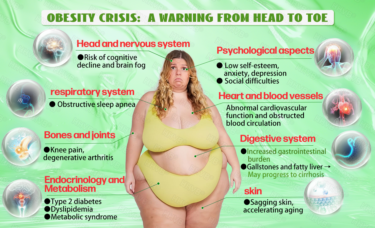 𝑶𝒇𝒇𝒊𝒄𝒊𝒂𝒍 𝑺𝒕𝒐𝒓𝒆 | 𝗛𝗛𝙑𝐵®🌈𝐺𝐿𝑃-𝟏  SIX-𝑰𝑵-𝑶𝑵𝑬 Fit&Vital 𝑶𝒓𝒂𝒍 𝑳𝒊𝒒𝒖𝒊𝒅  (𝐉𝐮𝐬𝐭 𝐨𝐧𝐜𝐞 𝐚 𝐝𝐚𝐲, 𝐯𝐢𝐬𝐢𝐛𝐥𝐞 𝐜𝐡𝐚𝐧𝐠𝐞𝐬 𝐢𝐧 𝟕 𝐝𝐚𝐲𝐬） ✅ 𝐅𝐨𝐫 𝐨𝐛𝐞𝐬𝐢𝐭𝐲, 𝐜𝐚𝐫𝐝𝐢𝐨𝐯𝐚𝐬𝐜𝐮𝐥𝐚𝐫 𝐡𝐞𝐚𝐥𝐭𝐡, 𝐝𝐢𝐚𝐛𝐞𝐭𝐞𝐬, 𝐬𝐥𝐞𝐞𝐩 𝐚𝐩𝐧𝐞𝐚, 𝐆𝐮𝐭 𝐇𝐞𝐚𝐥𝐭𝐡, 𝐣𝐨𝐢𝐧𝐭 𝐢𝐬𝐬𝐮𝐞𝐬, 𝐚𝐧𝐝 𝐦𝐨𝐫𝐞