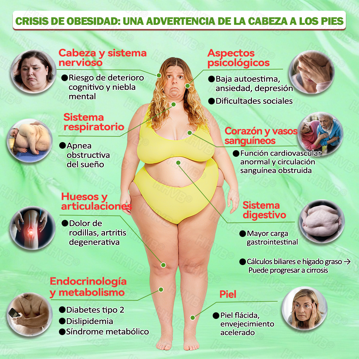 Tienda oficial | HHVB® NAD+ GLP-1 Pro ALL-IN-ONE Fit & Vital Oral Liquid (Solo una vez al día, resultados visibles en 7 días) ✅ Para obesidad, salud del corazón, diabetes, apnea del sueño, salud intestinal, articulaciones y más.